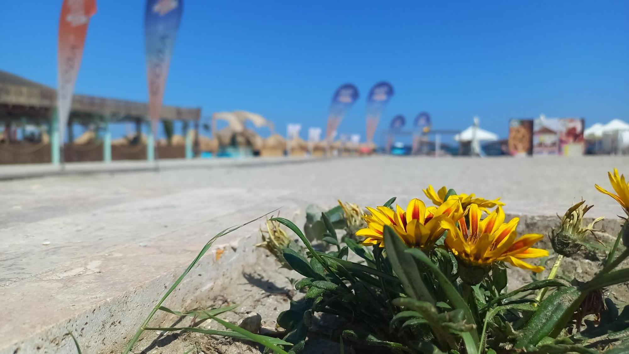 Luxury Promenada Apartment - Frontal Beachfront Mamaia Nord Năvodari Екстериор снимка